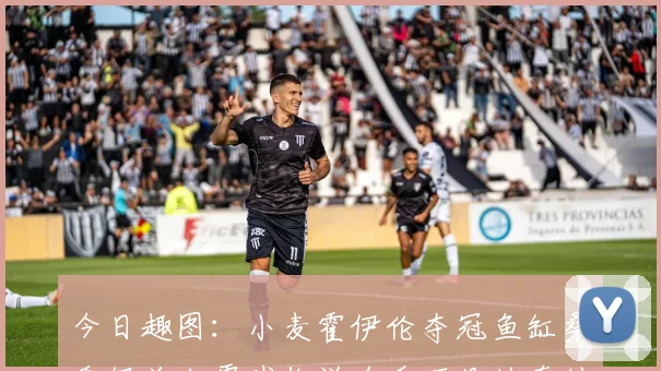 今日趣图：小麦霍伊伦夺冠鱼缸桑乔伊兰加零球你说啥看不见的奇妙瞬间
