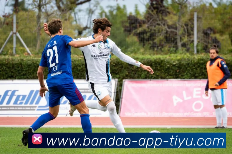 半岛体育平台生态图